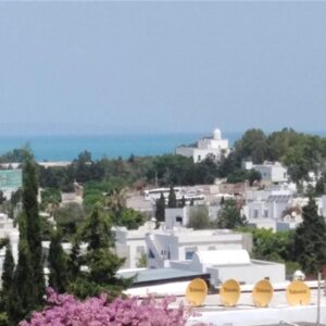 S1 Merle bleu Meublé à Sidi Bou Saïd