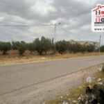 Photo-1 : Terrain Agricole Yigit à Cebelet Ben Ammar