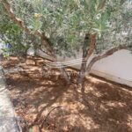 Photo-3 : Villa indépendante à Hammam Sousse route de la plage