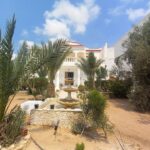 Photo-1 : Grande villa meublée à Midoun-fadhloun