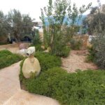 Photo-4 : Belle maison à Mgarsa – Djerba