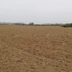 Terrain Agricole à Siliana