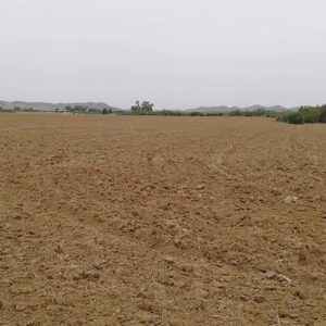 Terrain Agricole à Siliana