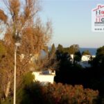 Photo-15 : Villa Bounouma à Carthage