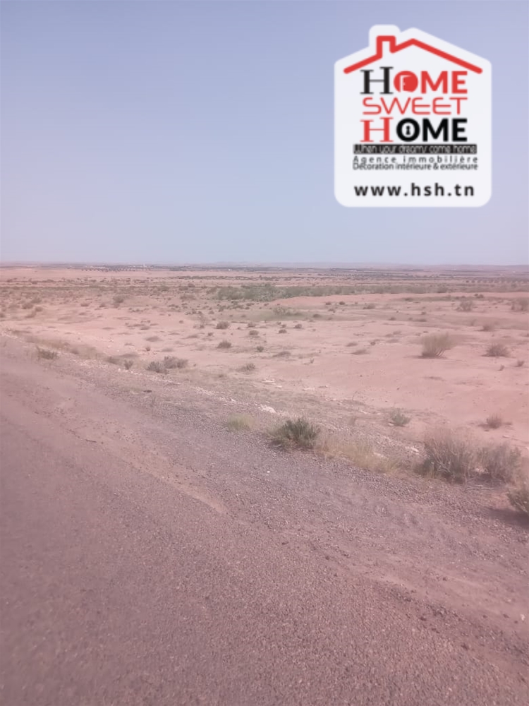 Exceptional Agricultural Land in Kasserine: A Rare Opportunity for Investors