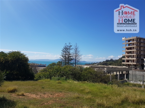 Your Leisure Oasis by the Sea in Porto Rico, Amilcar