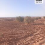 Photo-16 : Terrain Agricole EL Khir à Gafsa