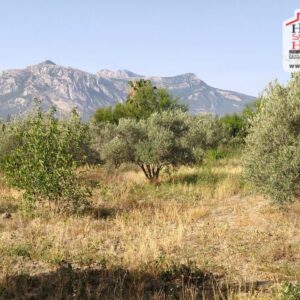 Ferme Badira à Zaghouan