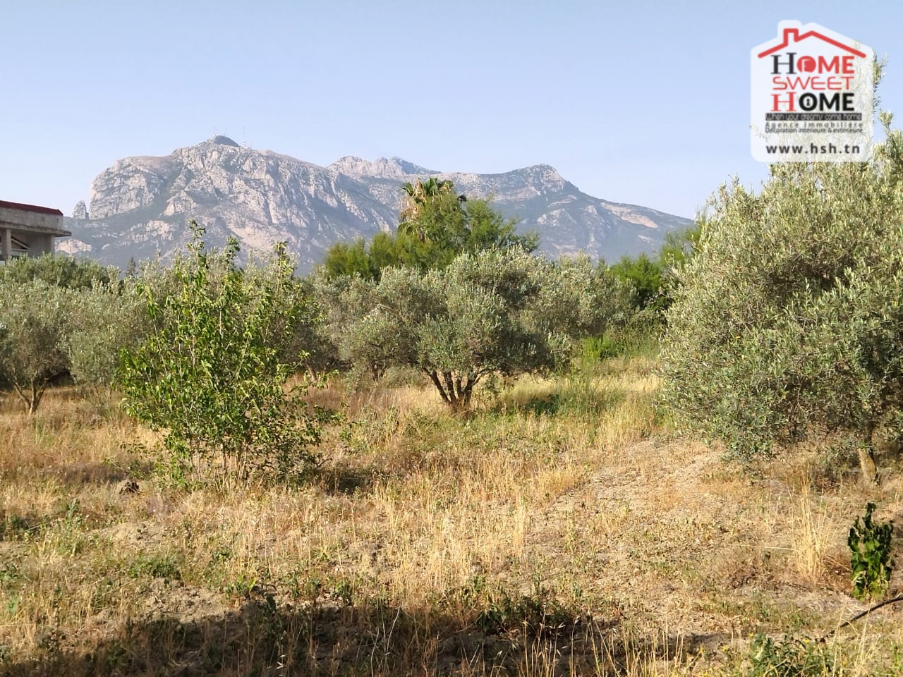 Ferme Badira in Zaghouan: A Haven of Peace and Nature
