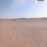 Photo-7 : Terrain Agricole EL Khir à Gafsa