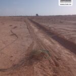 Photo-12 : Terrain Agricole EL Khir à Gafsa