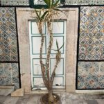 Photo-5 : Maison Style Arabesque S+3 située à Sidi Bou Saïd