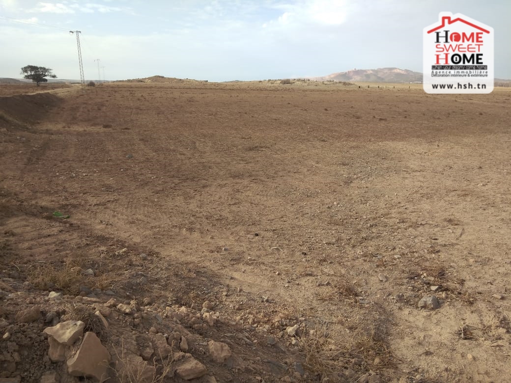 Exceptional Agricultural Land in Belair, Jbal West Zaghouan: A Unique Opportunity!