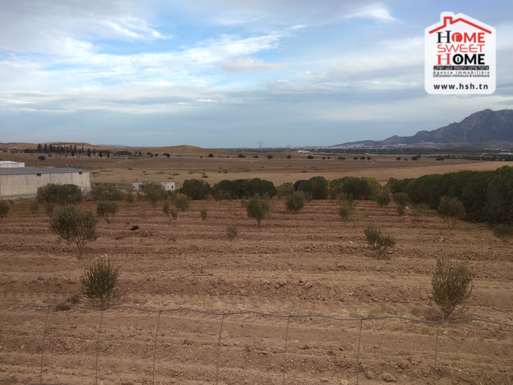 Exceptional Agricultural Land in Zeeland, Zaghouan: A Unique Opportunity