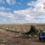 Photo-6 : Terrain Agricole Iyad à Kef