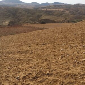 Terrain Agricole Zitouna à Tastour