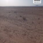 Photo-10 : Terrain Agricole EL Khir à Gafsa