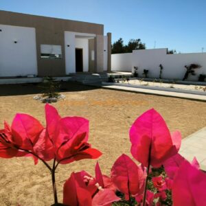 Maison toute neuve sans piscine à DJERBA