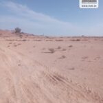 Photo-6 : Terrain Agricole Hambal à Bel Khir Gafsa