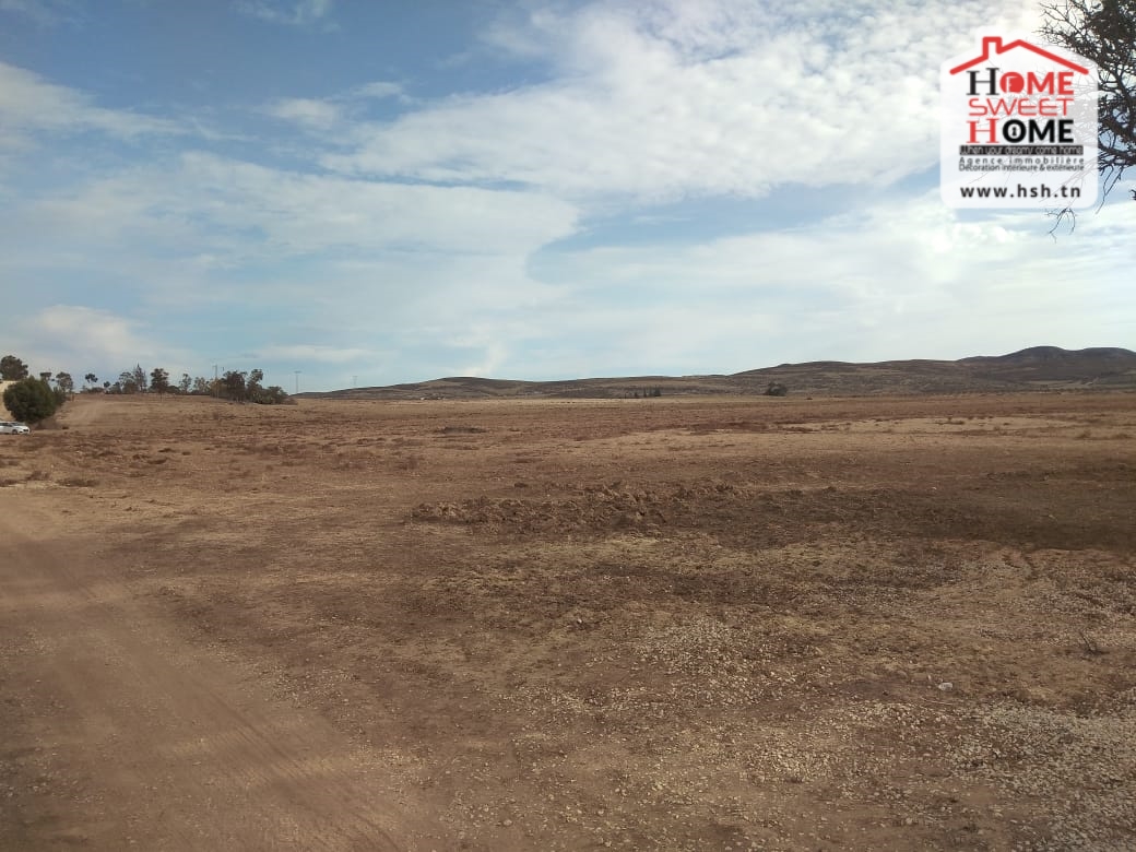 Exceptional Agricultural Land Opportunity in Moghran, Jbal West Zaghouan