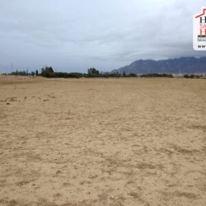 Terrain Agricole Beauvezer à Zaghouan