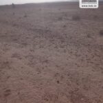 Photo-2 : Terrain Agricole EL Khir à Gafsa