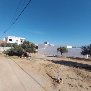 Terrain à Kharouba, Hammamet Nord