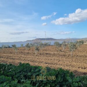 Terrain Agricole Clôturé, Situé à Bouficha