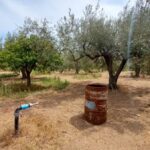 Photo-1 : Terrain agricole de 6277m² avec eau et electricité à Nabeul