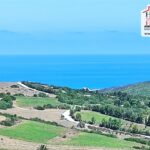 Photo-1 : Terrain de Villa Bleuy à Ain Berda, Bizerte