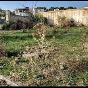 Terrain de Villa Laviza à Bizerte