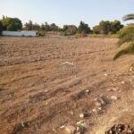 Terrain aux Jardins de Carthage
