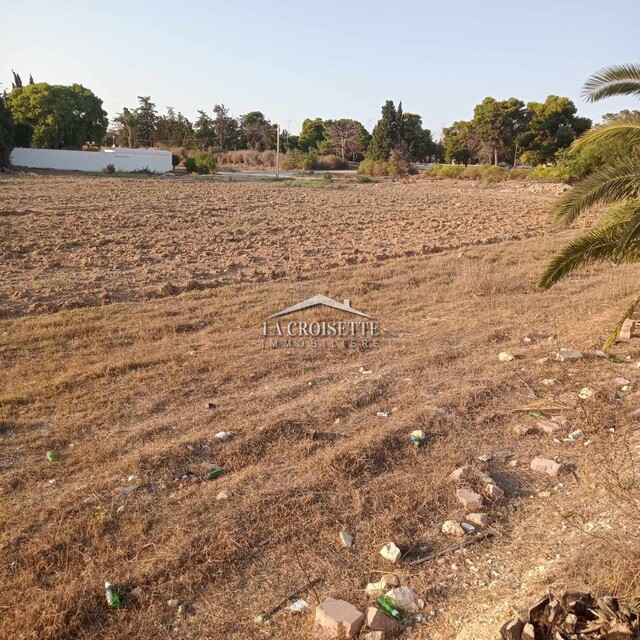 Terrain aux jardins de Carthage