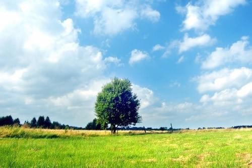 Terrain agricole titré