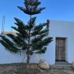 Photo-1 : Deux Villas Avec Piscine à Hammamet