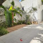 Photo-1 : S+1 meublé avec jardin au Menzah 1