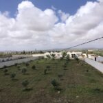 Photo-5 : Merveilleux emplacement pour maison d’hôtes à 4 km de yasmine hammamet