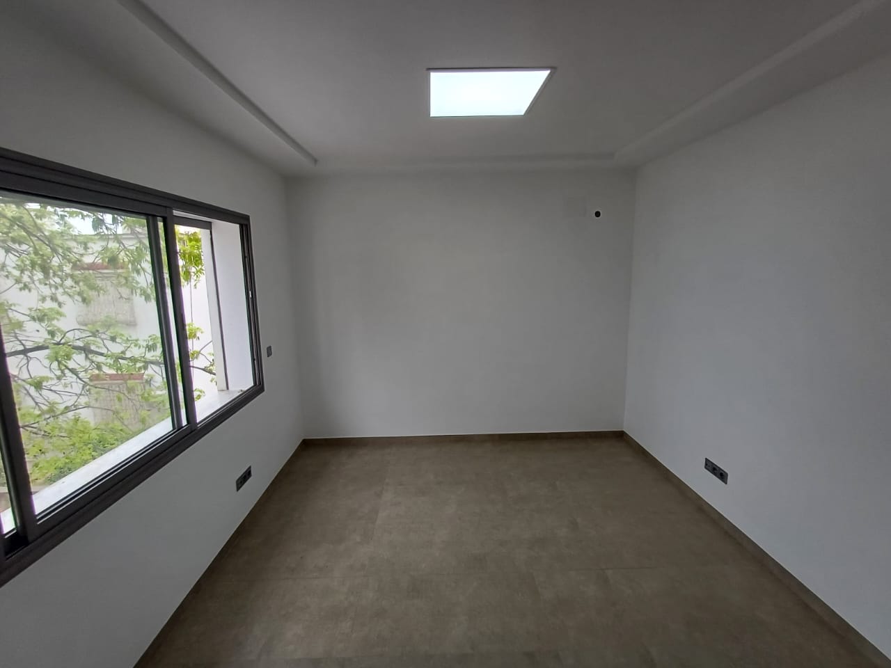Image 357553