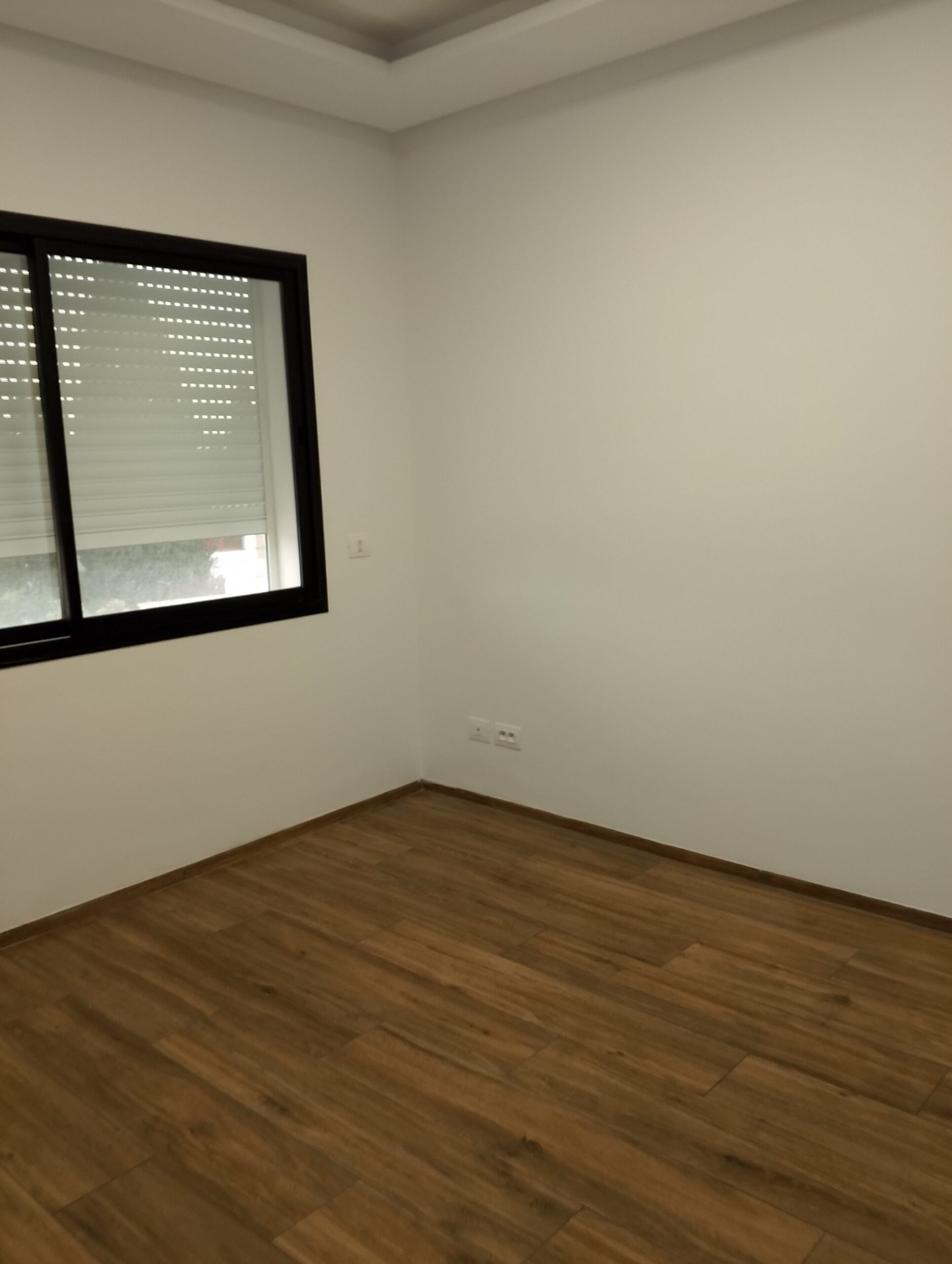 Image 357873