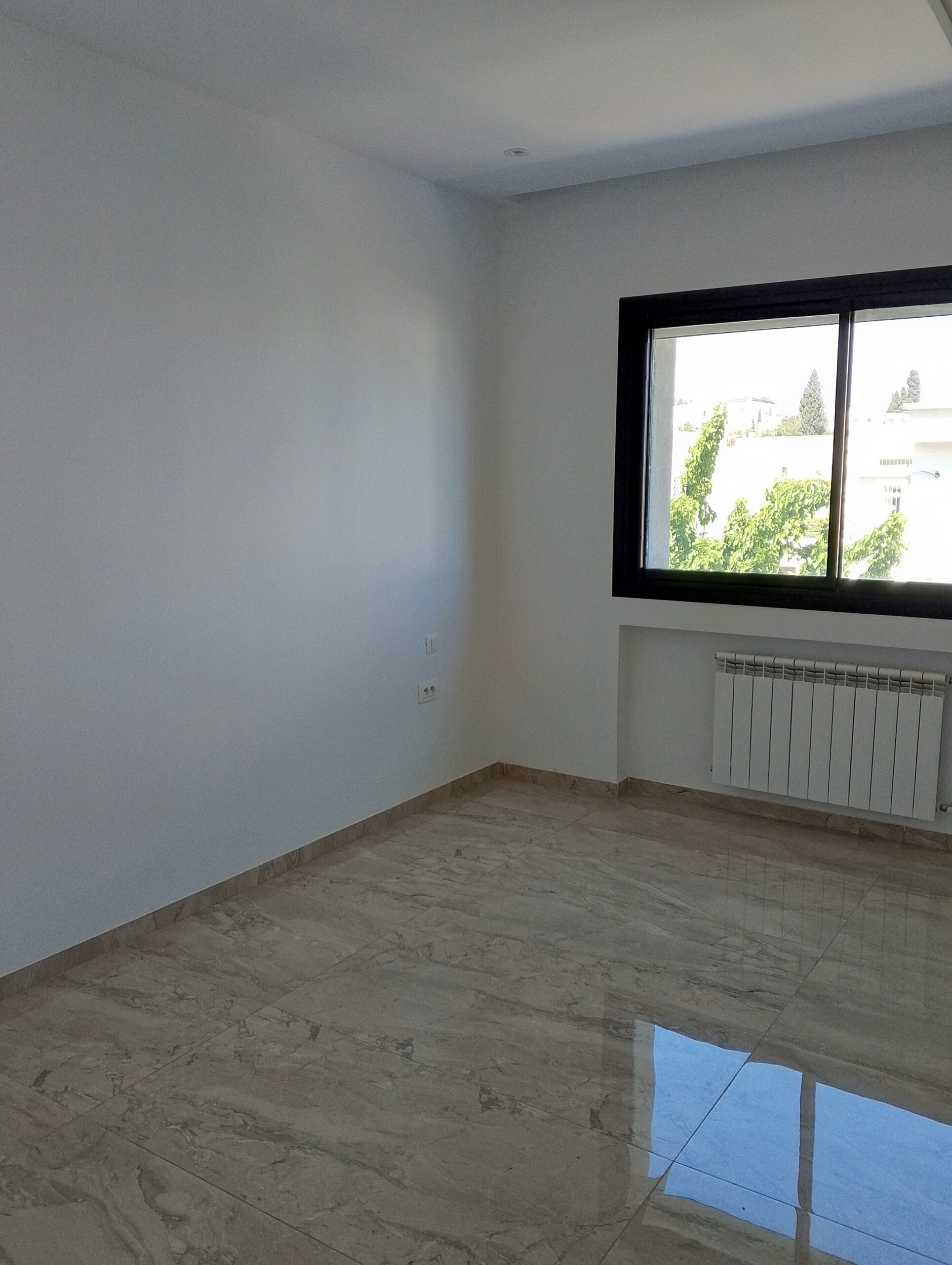 Image 357852