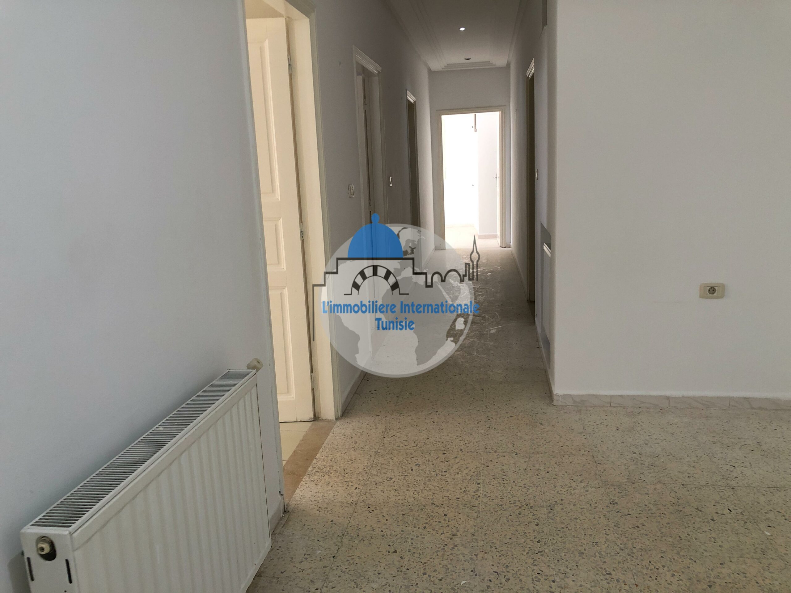Image 358245