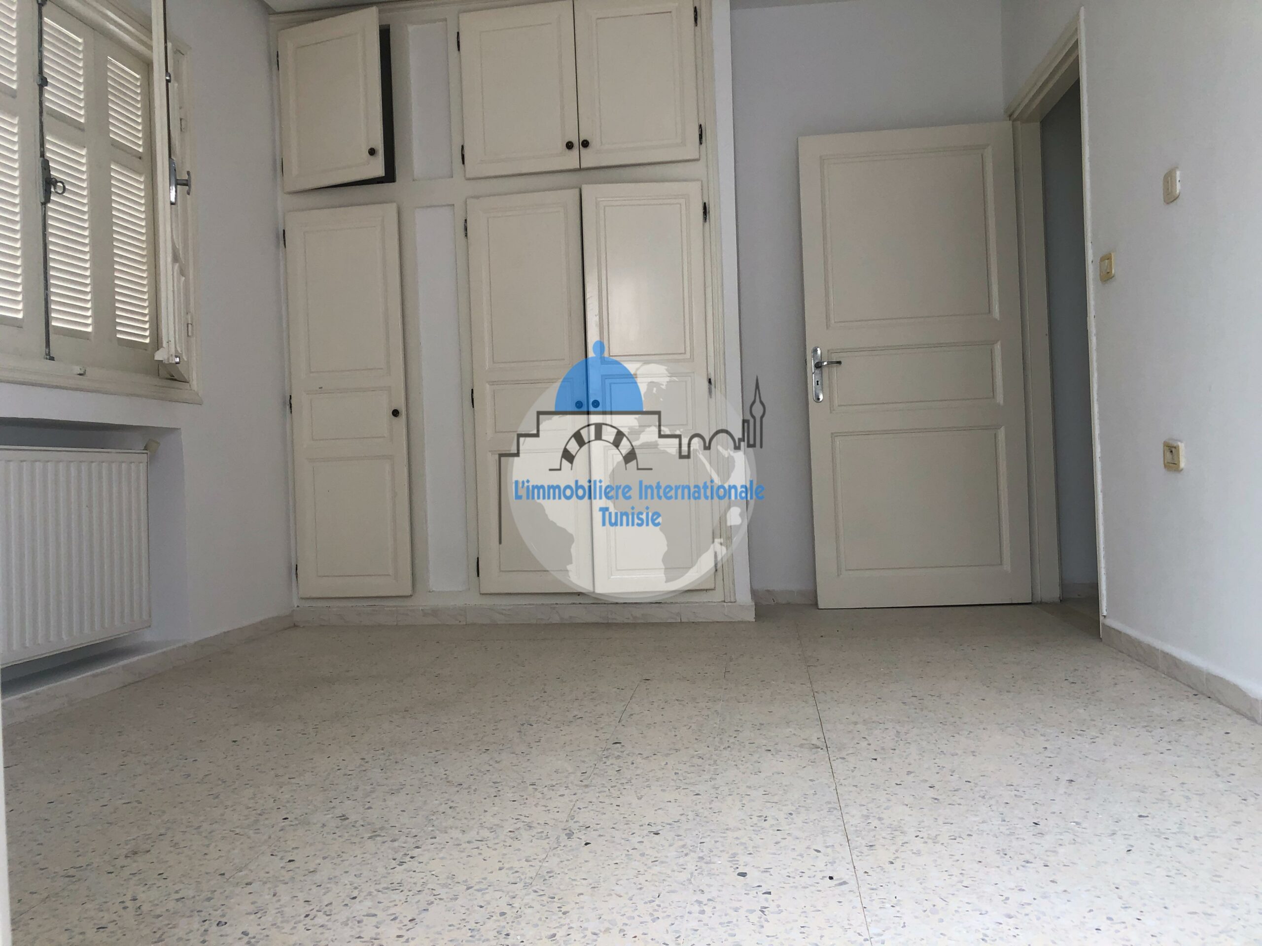 Image 358257