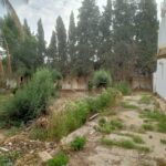 Photo-2 : Terrain + Villa à Hammamet