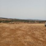 Photo-2 : Terrain de 17000m² à Hammamet
