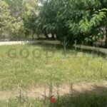 Photo-1 : Duplex S+4 lac 1