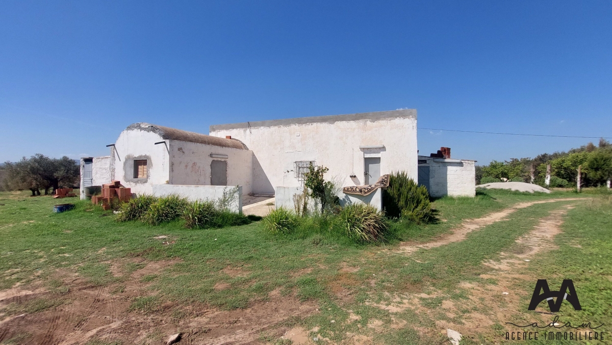 Exceptional Agricultural Land Opportunity in Mhadhba, Nabeul