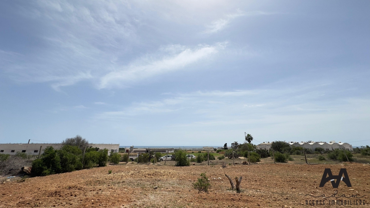 Terrain vue sur mer de 2250 m² à Tazarka
