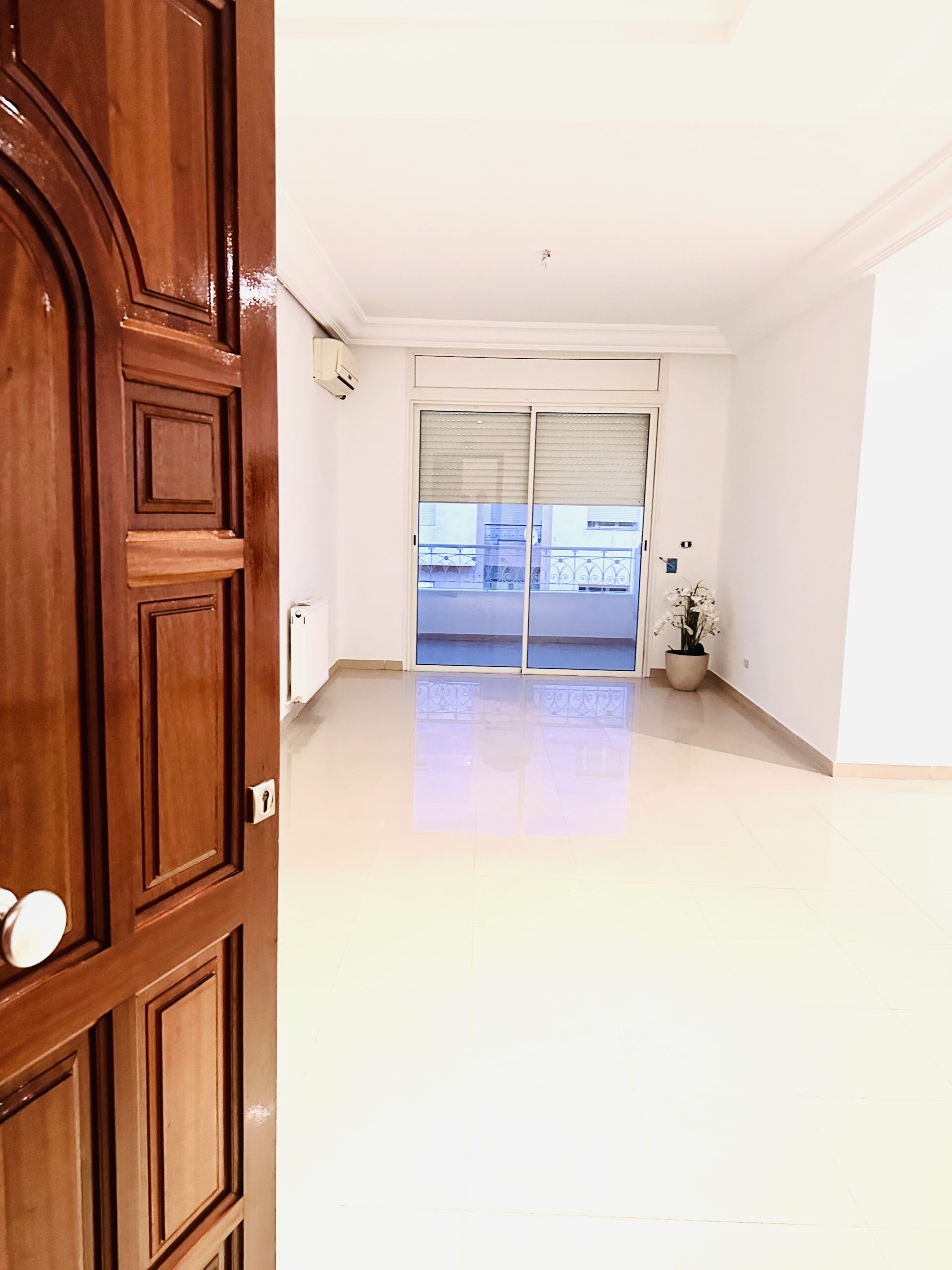 Appartement S+3 spacieux et lumineux à L'Aouina