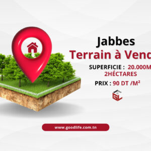 Terrain de 2 hectares à Jabbes