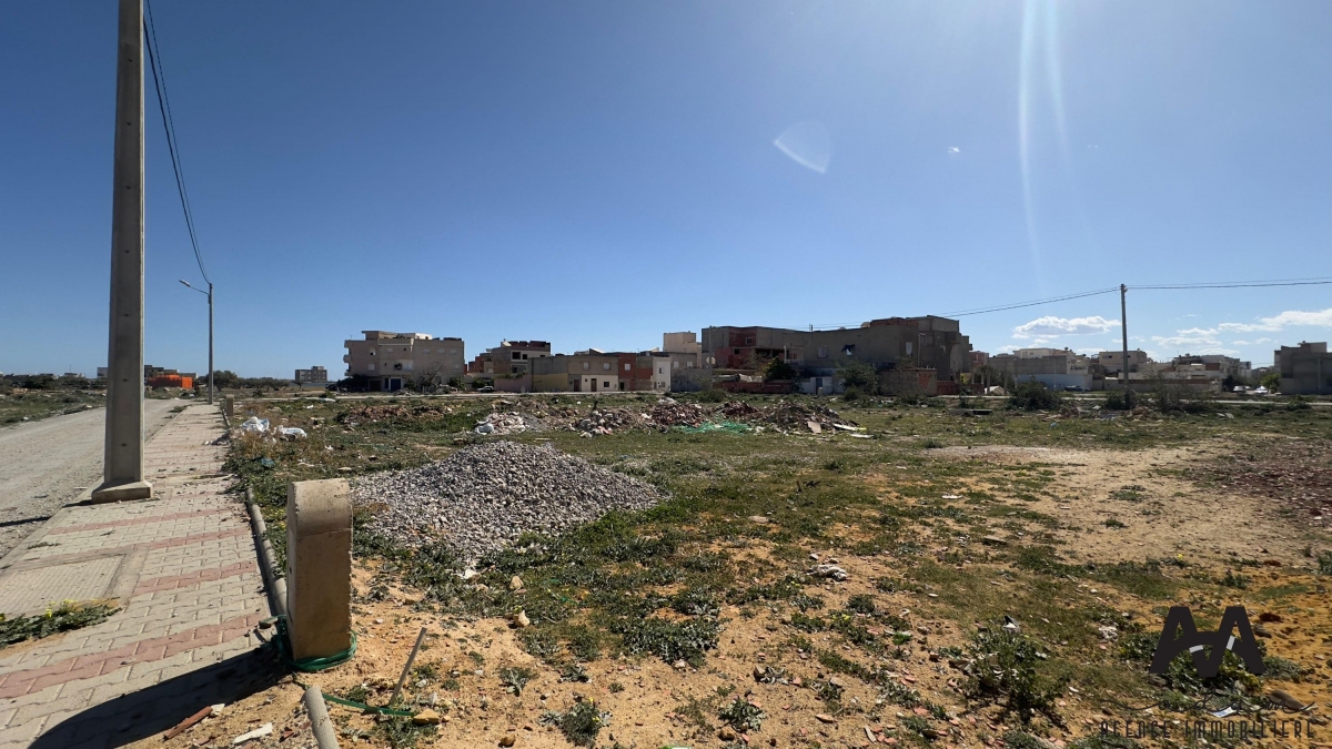 Image 369897